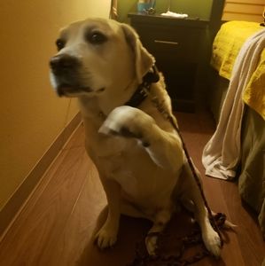 Meet your Posher, Robert